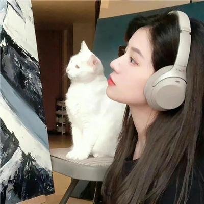 顶级乐队